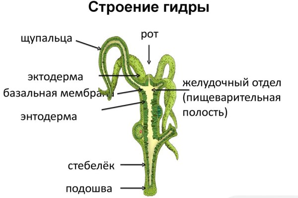 Блэкспрут ссылка тор blacksprute com