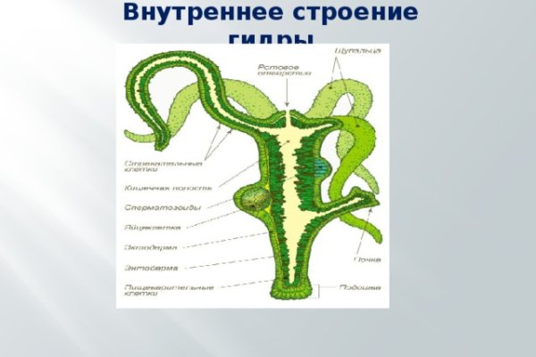 Не работает сайт блэкспрут bs2web top