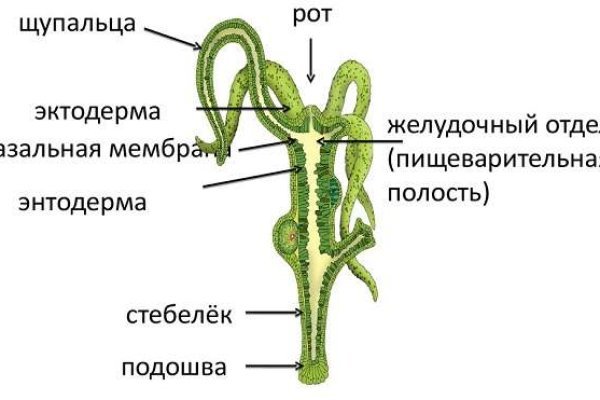 Блэкспрут ссылка bs2webes net