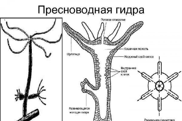 Как зайти на blacksprut 1blacksprut me